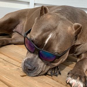 Meet your Posher, Paula